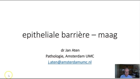 Thumbnail for entry epitheliale barrière maag