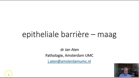 Thumbnail for epitheliale barrière maag