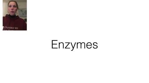 Thumbnail for entry Enzymes I - part1