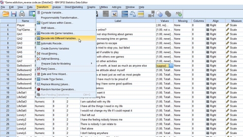 Thumbnail for SPSS micro lecture: reverse coding