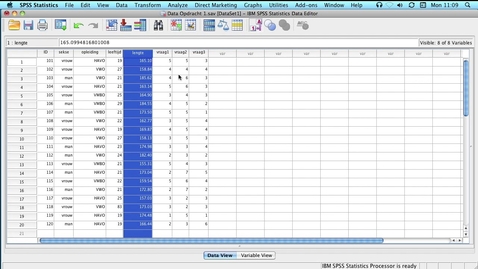 Thumbnail for SPSS  Adjusting Syntax 1 4