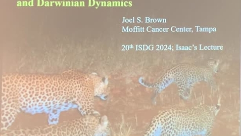 Thumbnail for 2024 Brown