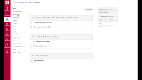Thumbnail for Submit video in Canvas assignment