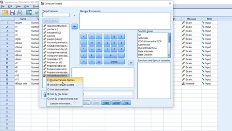 Thumbnail for SPSS micro lecture: Compute