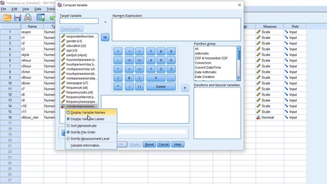 Thumbnail for entry SPSS micro lecture: Compute