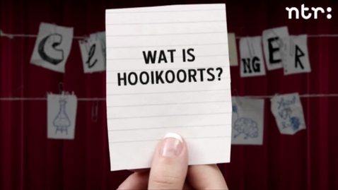 Thumbnail for 20130614_hooikoorts01