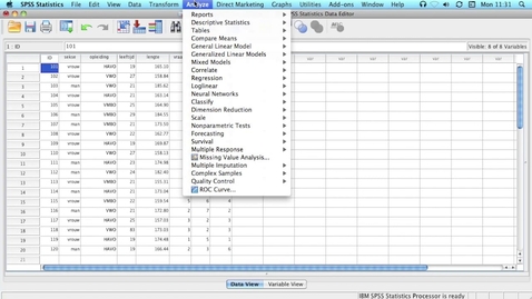 Thumbnail for SPSS toolbar 1 2