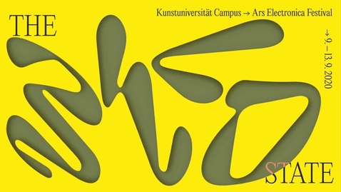 Thumbnail for The Wild State Expert Tours _ The Wild State_ networked, Interface Cultures.mp4