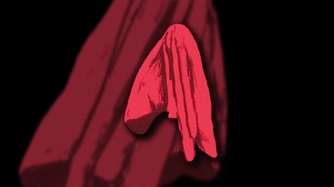 Thumbnail for Moving Image: Persönliche Sammlungen von Erinnerungen/Emotionen