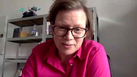 Thumbnail for Im Gespraech mit Karin Harrasser _ Professorin für Kulturwissenschaft  _ 2020