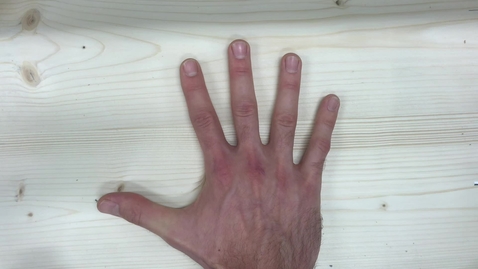 Thumbnail for Holzwerkstatt Sicherheitsvideo The Four Fingers
