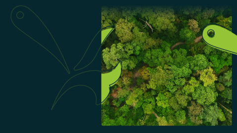 Thumbnail for The EBRD's sustainability event