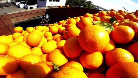 Thumbnail for Squeezing the best out of the international juice market