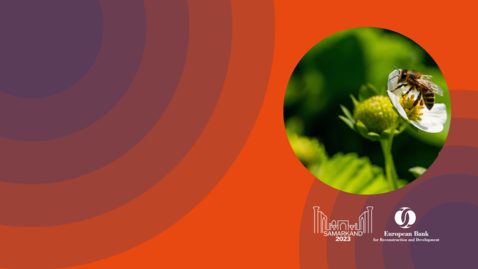 Thumbnail for Biodiversity finance: how to turn investing in nature into a sustainable business
