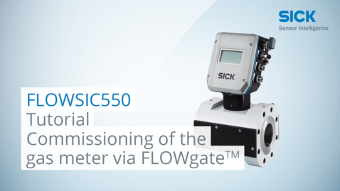 Vorschaubild für Tutorial: Commissioning of the FLOWSIC550 gas meter via FLOWgate™