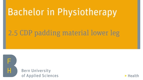 Thumbnail for 2.5 CDP padding material lower leg