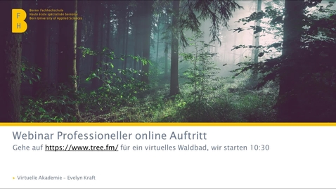 Vorschaubild für Eintrag 27.09.23 Webinar professioneller online Auftritt