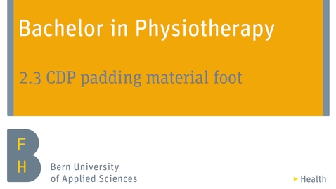 Thumbnail for 2.3 CDP padding material foot