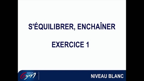 Vignette pour l'entrée ACCESS GYM TRAMPOLINE - Niveau Blanc