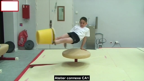 Vignette pour ACCESS GYM GAM - Ateliers connexes -  Cheval d'arçons