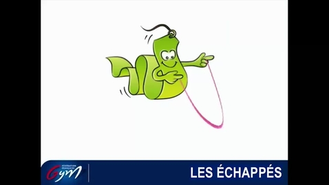 Vignette pour ACCESS GYM GÉNÉRAL GR - Niveau 4