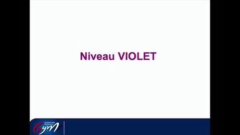 Vignette pour ACCESS GYM GAM - Niveau Violet