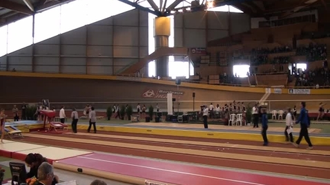 Vignette pour Salto arrière groupé 3