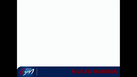 Vignette pour ACCESS GYM GAc - Niveau Marron