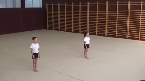 Vignette pour ACCESS GYM AÉROBIC - Niveau Blanc - Échauffement