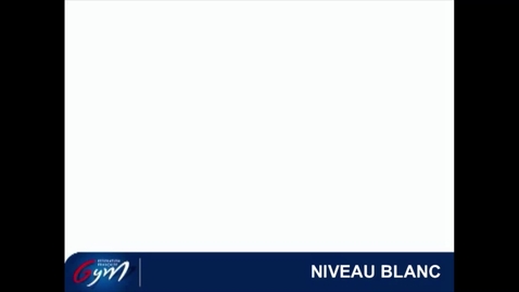 Vignette pour ACCESS GYM GAc - Niveau Blanc