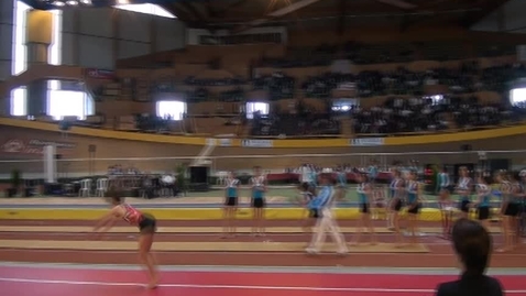 Vignette pour Salto arrière groupé 9