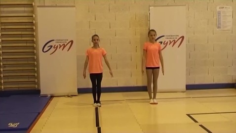 Vignette pour ACCESS GYM AÉROBIC - Niveau Bleu - Échauffement