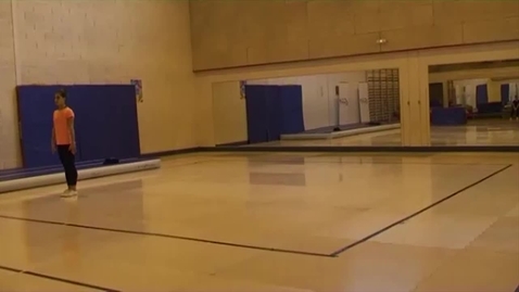 Vignette pour ACCESS GYM AÉROBIC - Niveau Rouge