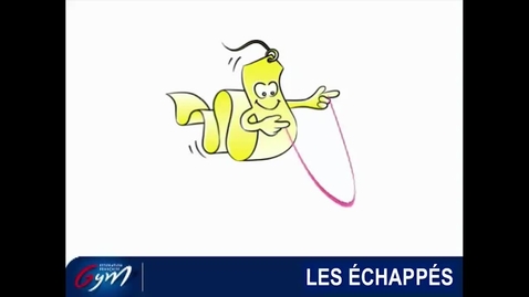 Vignette pour ACCESS GYM GÉNÉRAL GR - Niveau 2