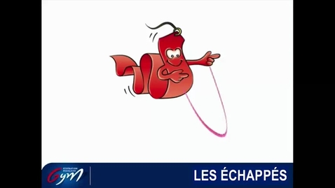 Vignette pour ACCESS GYM GÉNÉRAL GR - Niveau 6