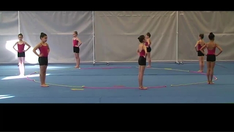 Vignette pour ACCESS GYM GÉNÉRAL GR - Niveau 1 - Échauffement