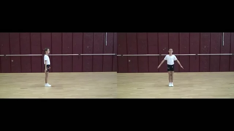 Vignette pour ACCESS GYM AÉROBIC - Niveau Jaune