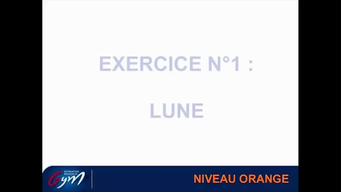 Vignette pour ACCESS GYM GAF - Niveau Orange
