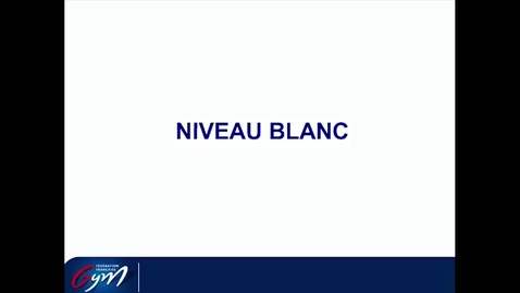 Vignette pour ACCESS GYM GAM - Niveau Blanc 