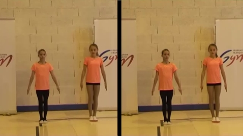 Vignette pour ACCESS GYM AÉROBIC - Niveau Rouge - Échauffement