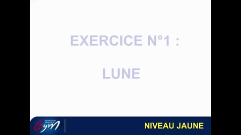Vignette pour ACCESS GYM GAF - Niveau Jaune