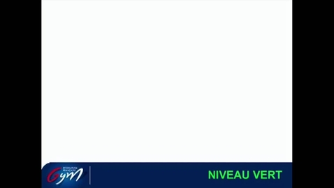 Vignette pour ACCESS GYM GAc - Niveau Vert