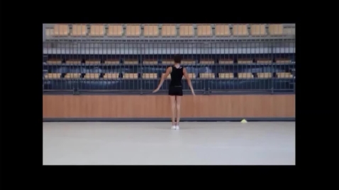 Vignette pour ACCESS GYM AÉROBIC - Niveau Vert