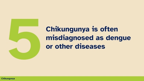 Thumbnail for 5th thing you should know about chinkungunya