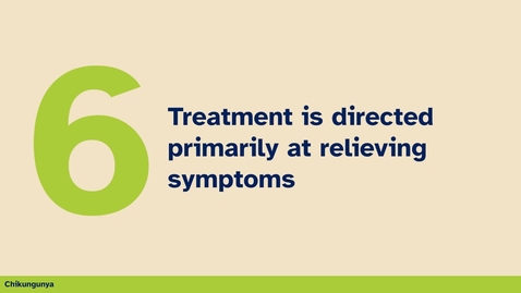 Thumbnail for #6 thing you should know about Chikungunya