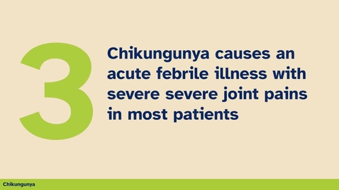 Thumbnail for 3rd thing you should know about chinkungunya