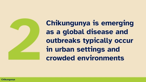 Thumbnail for 2nd thing you should know about chinkungunya