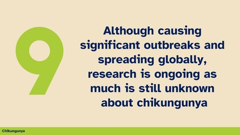 Thumbnail for #9 thing you should know about Chikungunya