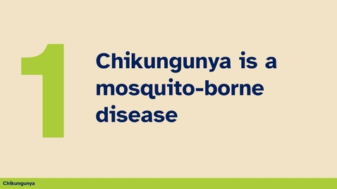 Thumbnail for 1st thing you should know about chinkungunya