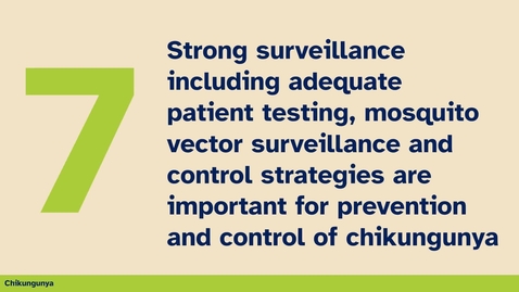 Thumbnail for #7 thing you should know about Chikungunya